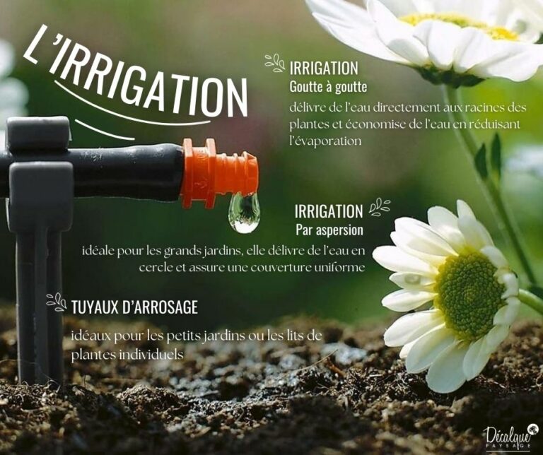 Irrigation de votre jardin