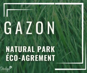 Gazon Décalque Paysage