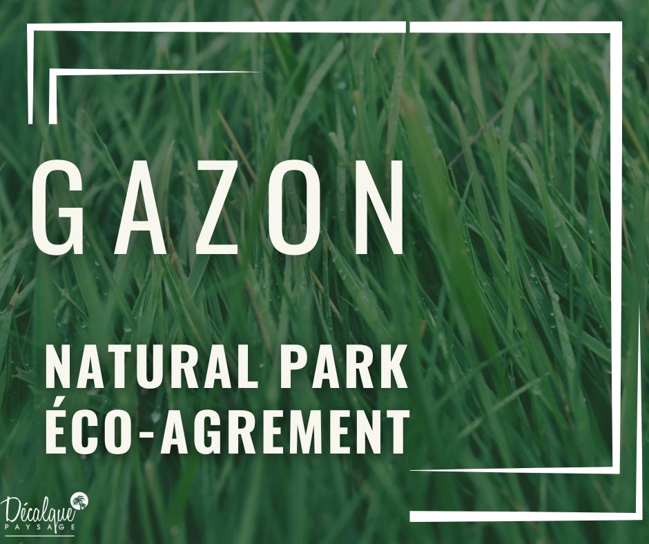 Gazon Décalque Paysage
